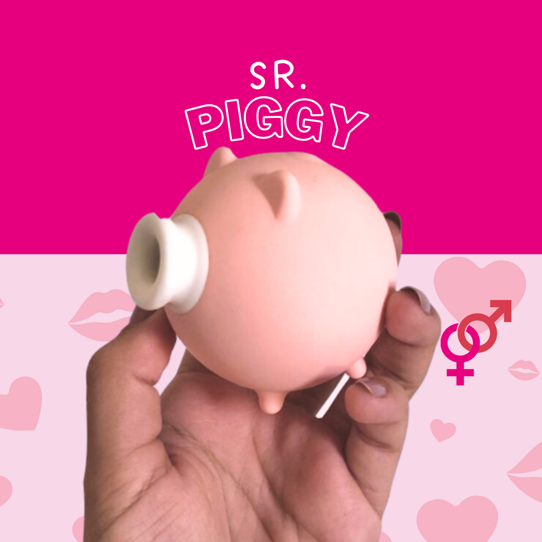 SR. PIGGY - Prazer Garantido - Minha loja